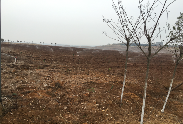 皇家国际·(中国区)有限公司官网