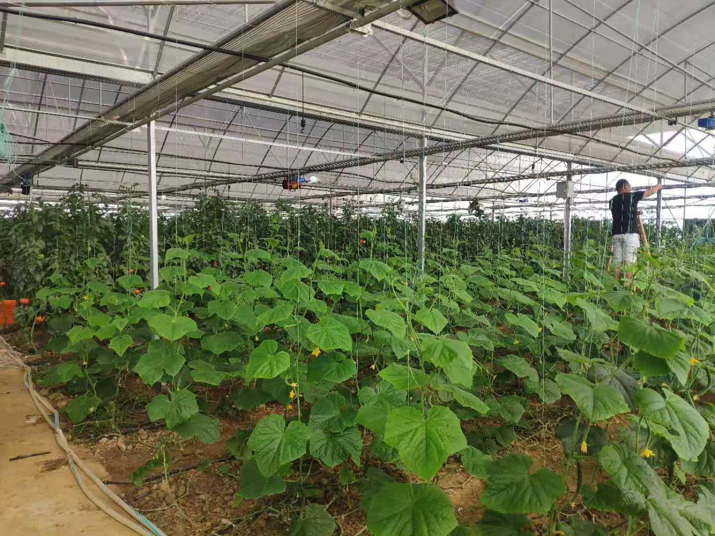 皇家国际·(中国区)有限公司官网