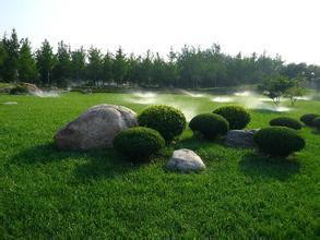 皇家国际·(中国区)有限公司官网