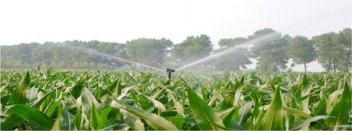 皇家国际·(中国区)有限公司官网